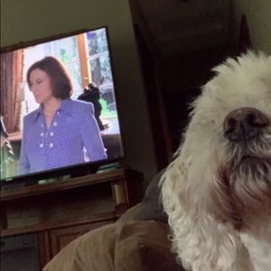 Meet your Posher, Kylee